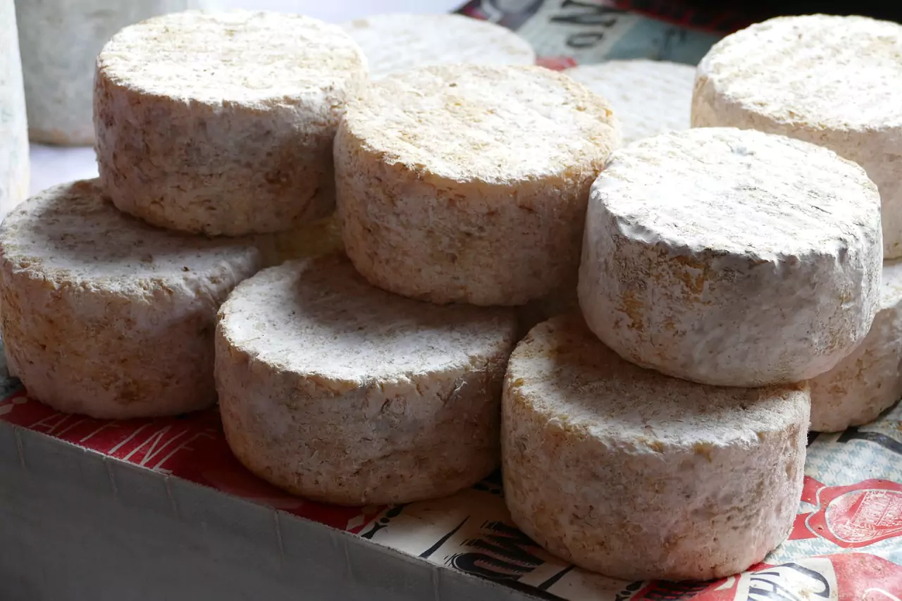 Fromage avec pain et confiture